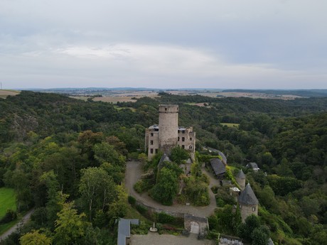 Roes - Burg Pyrmont